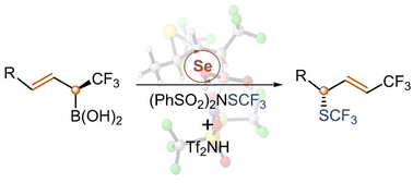 Graphical abstract: Mechanism of formation of chiral allyl SCF3 compounds via selenium-catalyzed sulfenofunctionalization of allylboronic acids