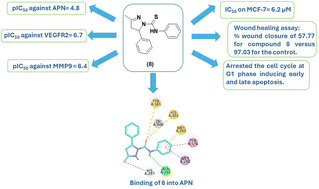 Graphical abstract: Naturally based pyrazoline derivatives as aminopeptidase N, VEGFR2 and MMP9 inhibitors: design, synthesis and molecular modeling