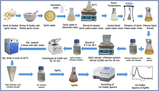 Graphical abstract: Ultrasensitive and selective colorimetric and smartphone-based detection of arsenic ions in aqueous solution using alliin–chitosan–AgNPs