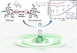 Graphical abstract: Acetate-assisted in situ electrodeposited β-MnO2 for the fabrication of nano-architectonics for non-enzymatic glucose detection