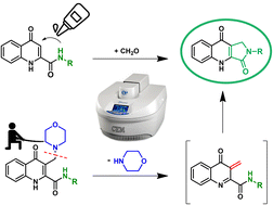 Graphical abstract: Ortho-quinone methide driven synthesis of kynurenic acid lactams