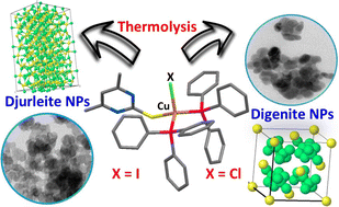 Graphical abstract: Precursor engineering for soft selective synthesis of phase pure metal-rich digenite (Cu9S5) and djurleite (Cu31S16) nanocrystals and investigation of their photo-switching characteristics