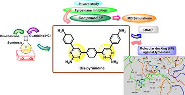 Graphical abstract: Elucidating bis-pyrimidines as new and efficient mushroom tyrosinase inhibitors: synthesis, SAR, kinetics and computational studies