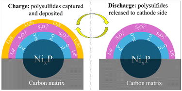 Graphical abstract: Polysulfide-mediating properties of nickel phosphide carbon composite nanofibers as free-standing interlayers for lithium–sulfur batteries