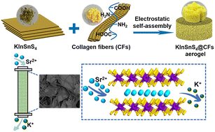 Graphical abstract: Rapid and efficient removal of Sr2+ ions by the easy-to-operate and environmentally friendly KInSnS4@collagen fiber aerogel