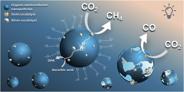 Graphical abstract: Organic semiconductor nanoparticles for visible-light-driven CO2 conversion