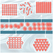 Graphical abstract: Core-softened colloid under extreme geometrical confinement