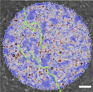 Graphical abstract: Linking local microstructure to fracture location in a two-dimensional amorphous solid under isotropic strain