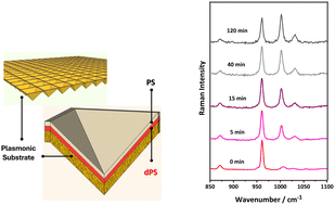 Graphical abstract: Polymer chain transport investigated using surface enhanced Raman spectroscopy: monitoring of diffusion kinetics on meso-structured plasmonic substrates