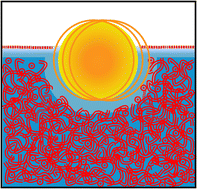 Graphical abstract: Microrheology of gemini surfactants at interfaces and in solutions in the dilute and semidilute regimes