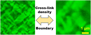 Graphical abstract: Boundaries and cross-linking densities modulate domain sizes of polydomain nematic elastomers