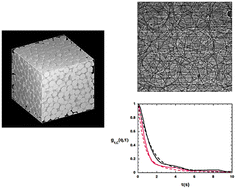 Graphical abstract: Probing particle dynamics in a fully opaque porous network using X-ray differential dynamic radiography (XDDR)