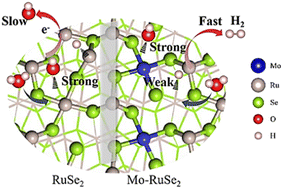 Graphical abstract: Competitive adsorption strategy for adsorbed intermediates boosting alkaline hydrogen evolution