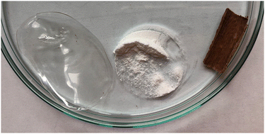 Graphical abstract: Photocrosslinkable starch cinnamyl ethers as bioinspired bio-based polymers