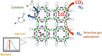 Graphical abstract: CuX-Based MOFs as functional materials for adsorption, catalytic, and sensing applications