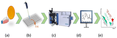 Graphical abstract: Raman spectroscopy in tandem with machine learning – based decision logic methods for characterization and detection of primary precancerous and cancerous cells