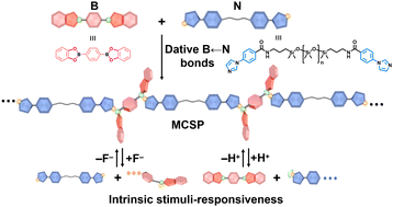 Graphical abstract: Intrinsic stimuli-responsive main-chain supramolecular polymers driven by dative B ← N bonds