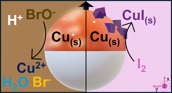 Graphical abstract: Halogen–copper redox chemistry as a driving force for spherical Janus microswimmers
