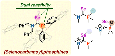 Graphical abstract: Selenoamides with two reactive sites: synthesis, structures, and dual reactivity of (selenocarbamoyl)phosphines