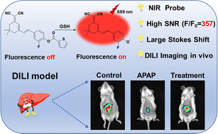 Graphical abstract: Construction of a novel highly selective NIR probe for monitoring the changes of glutathione levels in drug-induced liver injury