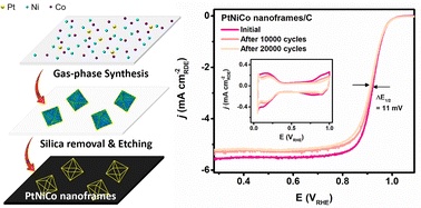 Graphical abstract: Synthesis and characterization of ultra-small octahedral PtNiCo skeletons with high activity for the oxygen reduction reaction