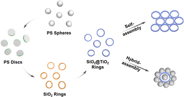 Graphical abstract: Preparation and assembly of SiO2@TiO2 photoresponsive colloidal rings