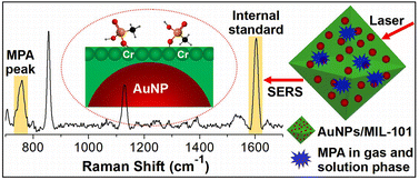 Graphical abstract: A coordination-driven SERS platform for trace detection of a nerve agent hydrolysis product using a plasmonic metal–organic framework