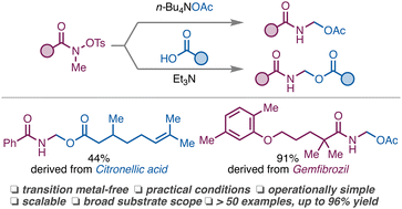 Graphical abstract: Direct N-methyl C–H esterification of O-tosyl hydroxamates to enable facile synthesis of hemiaminal esters