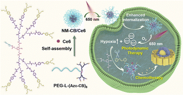 Graphical abstract: Self-immolative PEGylated dendritic drug conjugates for cancer therapy with enhanced cellular uptake