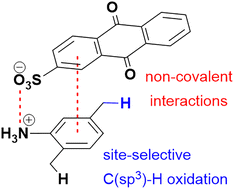 Graphical abstract: Non-covalent interaction-controlled site-selective benzylic C(sp3)–H oxidation