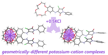 Graphical abstract: Crystal structures of sandwich-type potassium cation complexes formed from benzo-15-crown-5-based ligand containing a chloromaleimide moiety