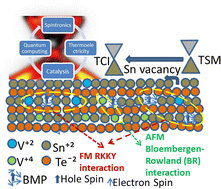Graphical abstract: Study of proximity-coupled magnetic anisotropy in V-doped SnTe using spin resonance and magnetic measurements
