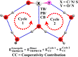 Graphical abstract: Synergistic cyclic cooperativity governs the strength of chalcogen, pnictogen and tetrel bonds in microhydrated clusters
