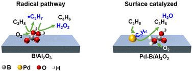Graphical abstract: Tuning the oxidative dehydrogenation of propane mechanism by Pd–B/Al2O3 bifunctional catalysis through suppression of gas-phase radicals and enhancement of surface-mediated pathways