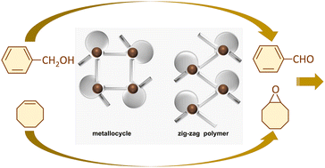 Graphical abstract: Influence of ancillary ligands on the formation and functionality of oxovanadium(v) metallosupramolecular assemblies: advanced computational and catalytic analyses