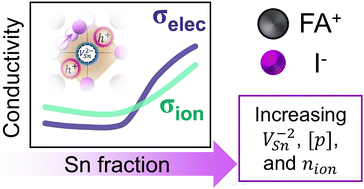 Graphical abstract: Deciphering the interplay between tin vacancies and free carriers in the ion transport of tin-based perovskites