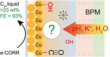 Graphical abstract: High-asymmetry bipolar membrane electrode assemblies generate a superconcentration of cations and hydroxide at a catalyst surface