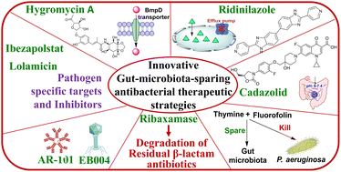 Graphical abstract: How to spare gut microbiota from antibiotic effects? PK-PD based innovative strategies, target specificity, and molecule-to-medicinal properties