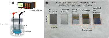 Graphical abstract: Corrosion behavior of anodized nanoporous TiO2 films in oxidizing environments: a study on electrochemically engineered titanium surfaces