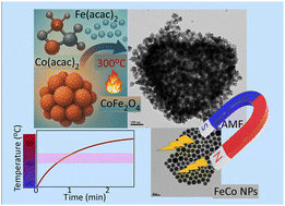 Graphical abstract: A parametric study on CoFe-based ferrite and alloy nanoparticle synthesis