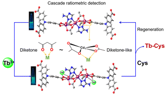 Graphical abstract: Recyclable luminescent metal–organic frameworks with self-formed diketone-like sites for cascade ratiometric detection
