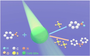 Graphical abstract: Hole scavenger concentration dependent photoreduction pathway of nitrobenzene catalyzed by CdS quantum dots