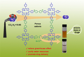 Graphical abstract: Cationic porous organic polymers for selective adsorption in gas and liquid phases