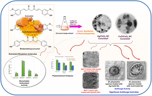 Graphical abstract: Eco-friendly synthesis of Ag/CeO2 and CuO/CeO2 nanocomposites using Curcuma longa extract and assessment of their antioxidant, antifungal, and cytotoxic activities