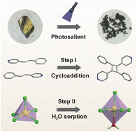 Graphical abstract: Photosalient effect and reversible photochromic photoluminescence driven by cascade [2 + 2] cycloaddition reaction and water adsorption in a 0D hybrid metal halide