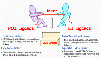 Graphical abstract: Rational design of the linkers in targeting chimeras
