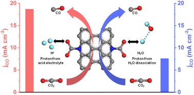 Graphical abstract: Unveiling hydrogen-source-dominated CO2 electroreduction activity on nitrogen-doped carbon nanotubes