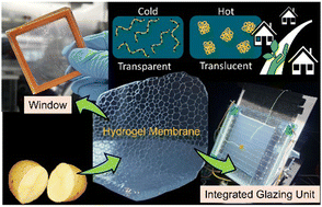 Graphical abstract: Enhancing thermal comfort and photovoltaic efficiency through thermotropic starch–hydrogel composite membrane integration in sustainable building fenestration