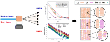 Graphical abstract: Deciphering supramolecular and polymer-like behavior in metallogels: real-time insights into temperature-modulated gelation and rapid self-assembly dynamics