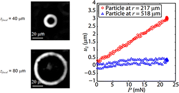 Graphical abstract: Independent measurement of Young's modulus and Poisson's ratio of transparent thin films using indentation and surface deformation measurements